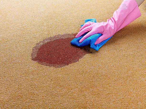 Rug cleaning services